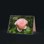 Pink English Rose Sister Happy Birthday Card<br><div class="desc">The text of the card,  which you can change and personalize. "A sister is like a rose ~ Beautiful,  but watch out for the thorns! Just kidding about the thorns! Much love on your birthday!" This is a template,  making it easy to customize.</div>