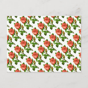 Pink English Roses Postcard