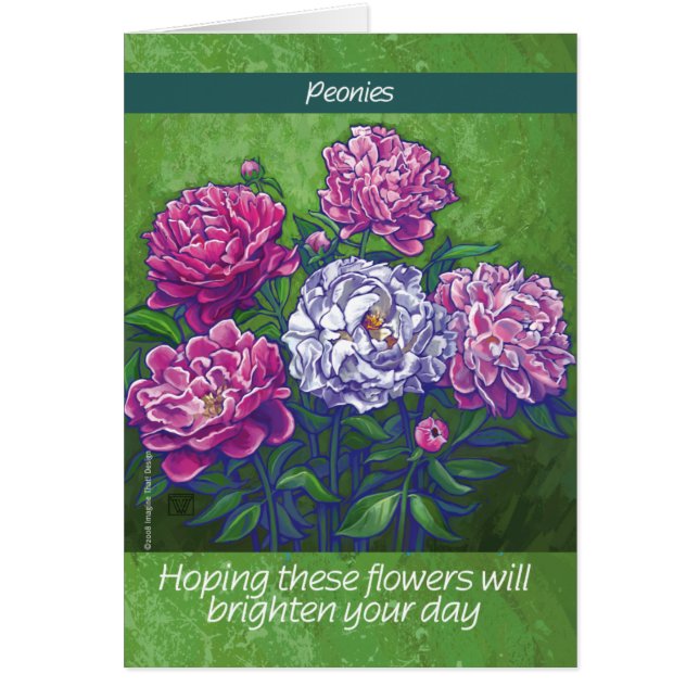 PInk et fleurs de pivoines blanches (Devant)