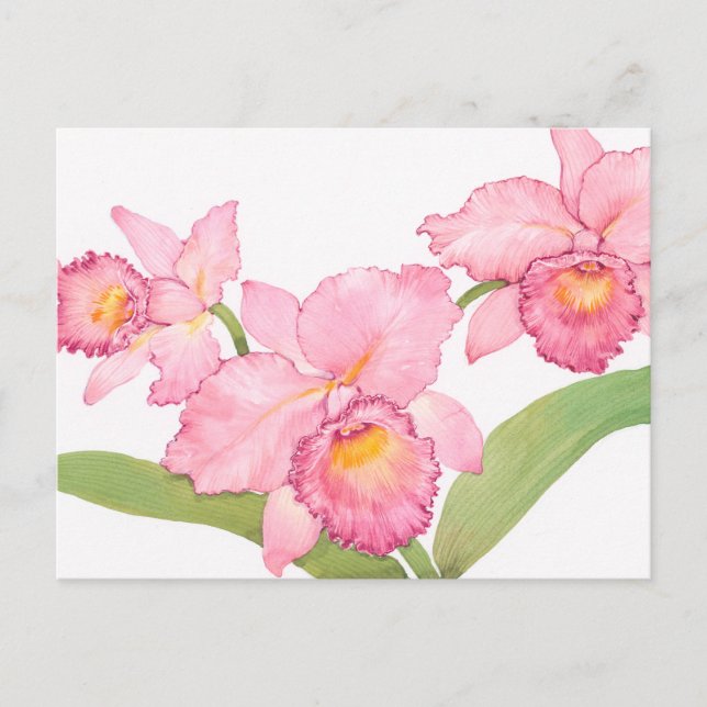 Pink Exotic Watercolor Flowers Postcard (Front)