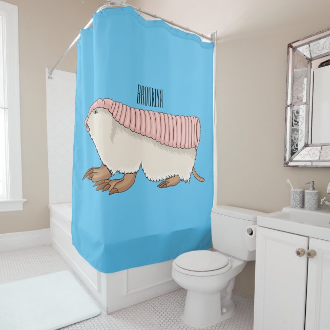 Pink fairy armadillo cartoon illustration  (In Situ)