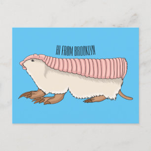 Pink fairy armadillo cartoon illustration postcard