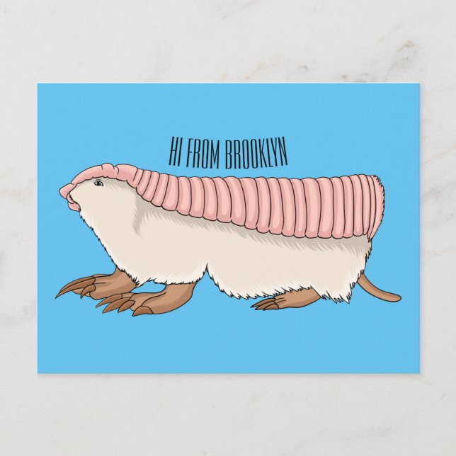 Pink fairy armadillo cartoon illustration postcard (Front)