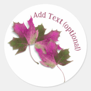 Pink Fall Leaves Classic Round Sticker