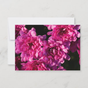 Pink Fall Mums Card