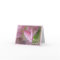 Pink Fancy Tulip Engagement Congratulations