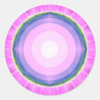 Pink Fantasy ~ Fractals Classic Round Sticker