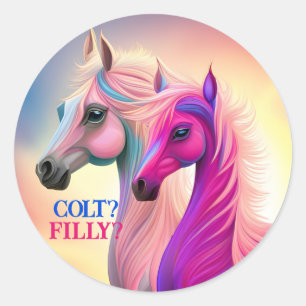 Pink Filly & Blue Colt Western Style Gender Reveal Classic Round Sticker