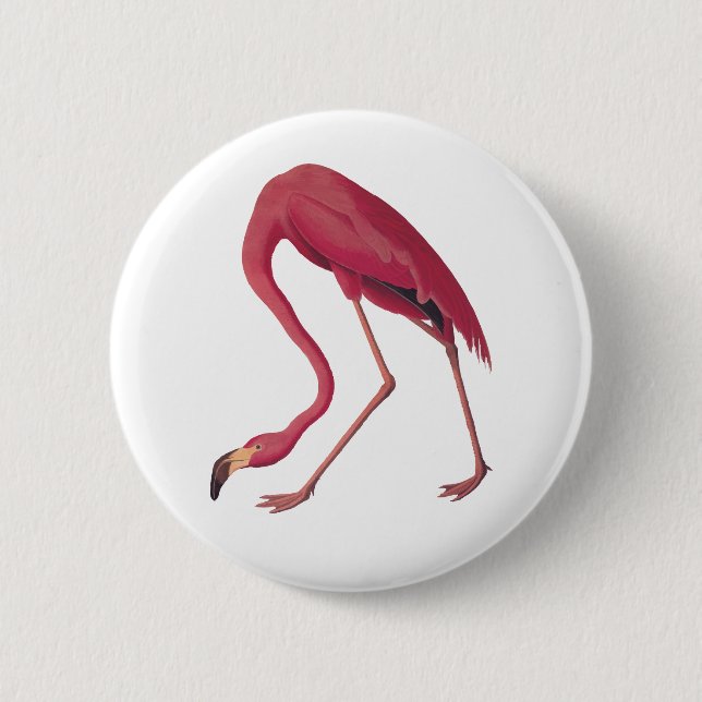 Pink Flamingo 2 Inch Round Button (Front)