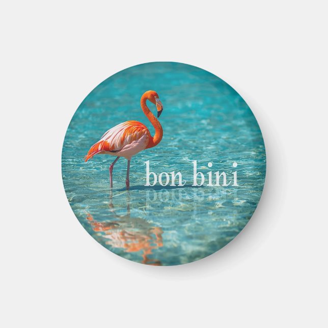 Pink flamingo abc islands magnet (Front)