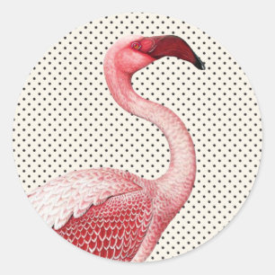 Pink Flamingo and Vintage Polka Dots Classic Round Sticker
