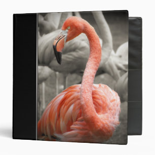 Pink Flamingo binder