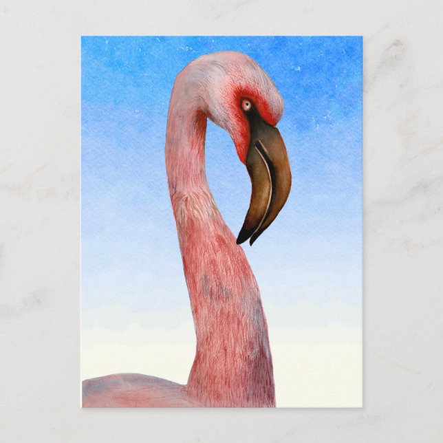 Pink Flamingo Bird Watercolor Painting Postcard (Front)