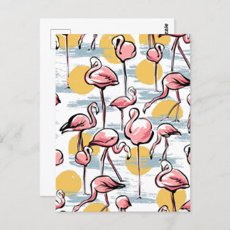 Pink Flamingo birds and sunset | Tropical Tango  Postcard