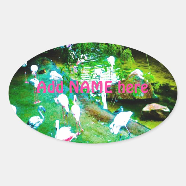 Pink Flamingo Birds Custom Oval Sticker (Front)