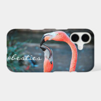 Pink Flamingo Birds Photo Besties Friends Script