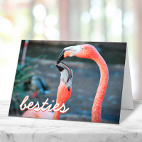 Pink Flamingo Birds Photo Besties Script Stylish