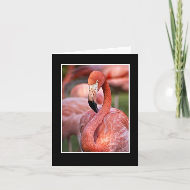 Pink Flamingo Blank Note Card (Front)