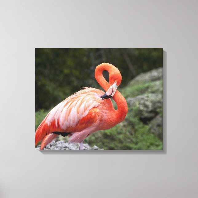 Pink Flamingo Canvas Print (Front)