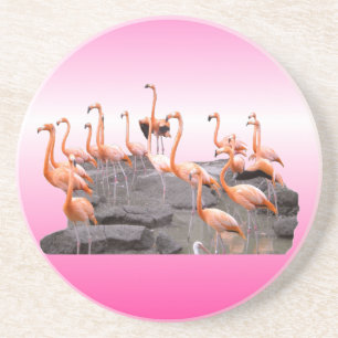 Pink Flamingo Coaster