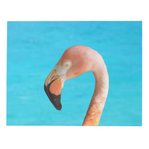 Pink flamingo face against blue water on a notepad