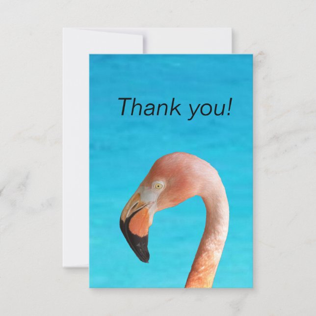 Pink flamingo face against blue water on a thank you card (Front)
