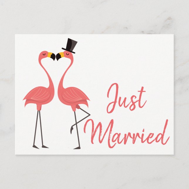 Pink Flamingo Just Married Tropical Wedding Love Announcement Postcard (Front)