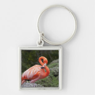 Pink Flamingo Keychain