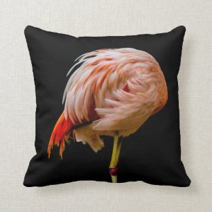 Pink Flamingo Lollipop Throw Pillow
