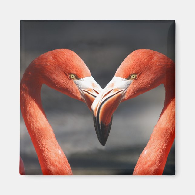 Pink Flamingo Love Magnet (Front)