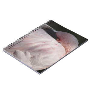 Pink  Flamingo Notebook
