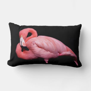 Pink Flamingo on Black Lumbar Pillow
