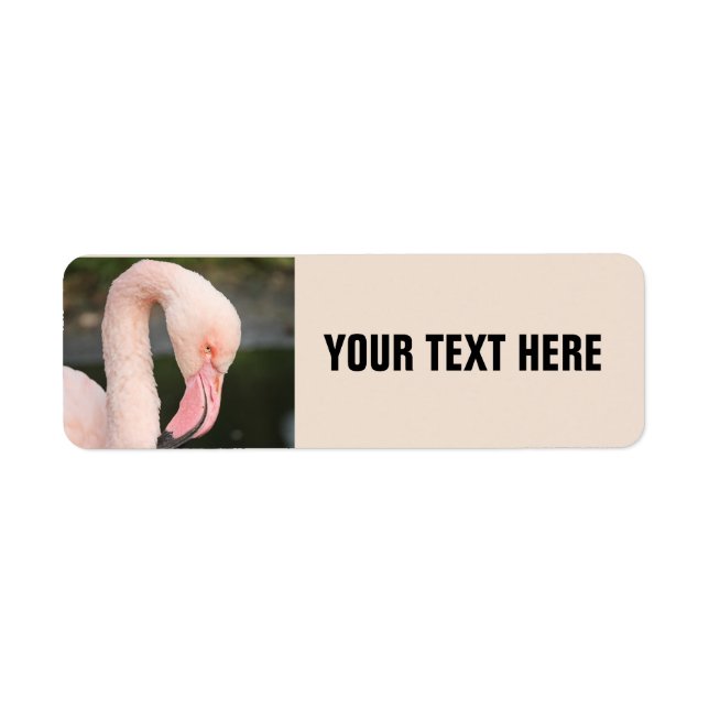 PINK FLAMINGO PERSONALIZED RETURN ADDRESS LABELS (Front)