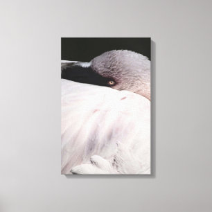 Pink Flamingo Portrait Drawing Effect Art Canvas Print