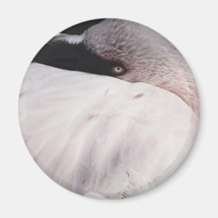 Pink Flamingo Portrait Drawing Effect Art Magnet