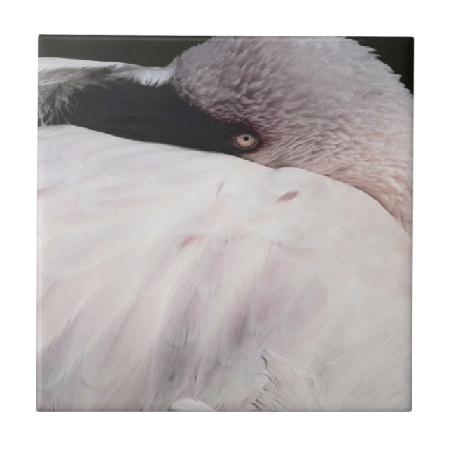 Pink Flamingo Portrait Drawing Effect Art Tile (Front)