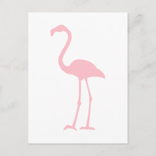 Pink Flamingo Postcard