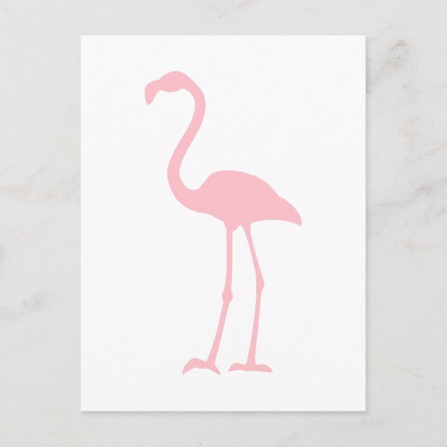 Pink Flamingo Postcard (Front)