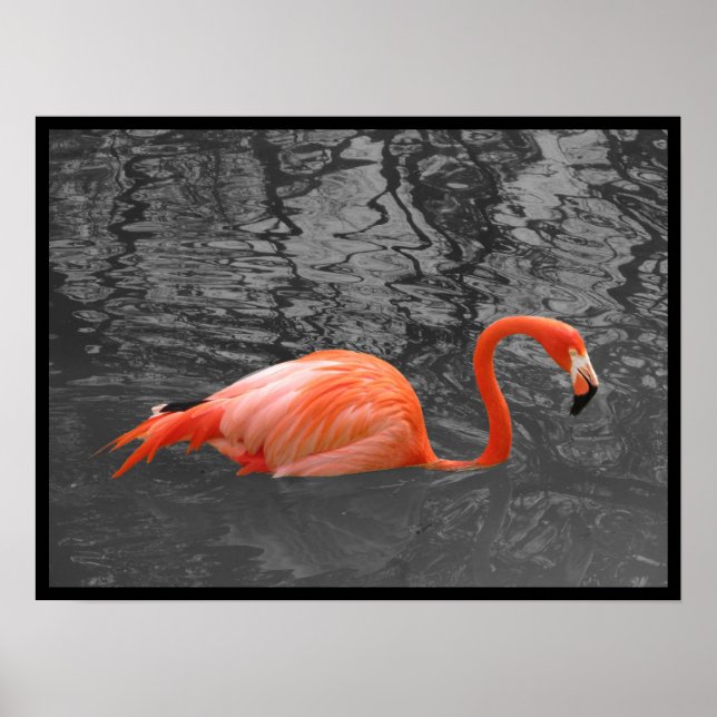 Pink Flamingo Poster (Front)