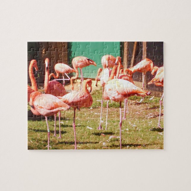 Pink Flamingo Puzzle (Horizontal)
