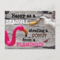 Pink Flamingo Seagull Doughnut Beach Vacation Humo
