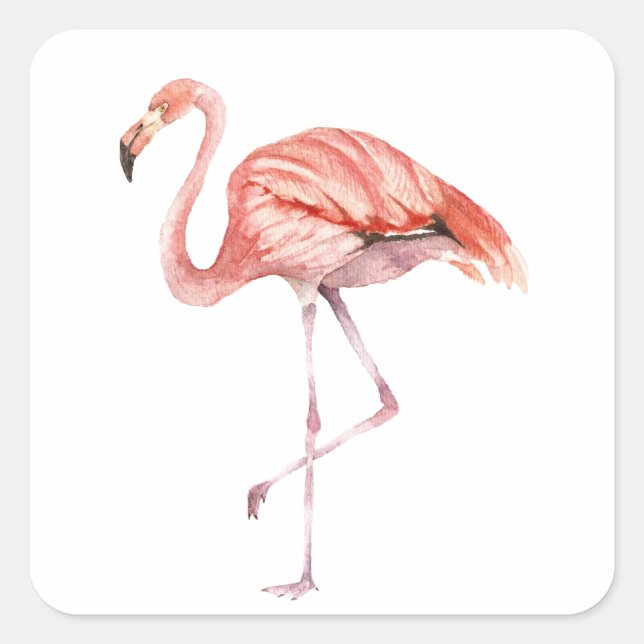 Pink Flamingo Square Sticker (Front)