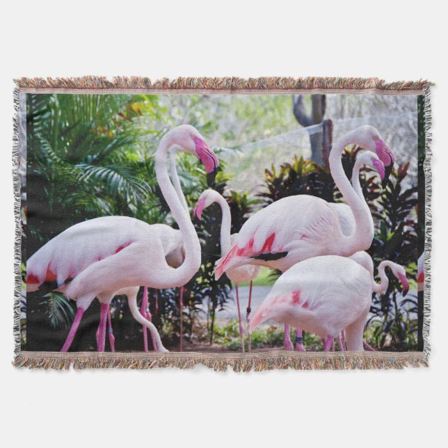 Pink Flamingo Throw Blanket (Front)