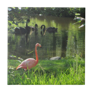 Pink Flamingo Tile