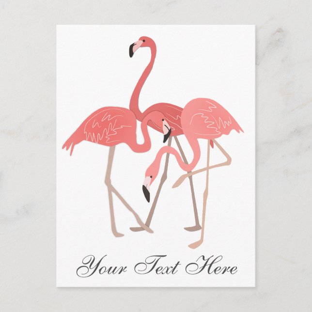 Pink Flamingo Trio Postcard (Front)