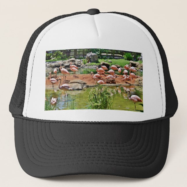 Pink Flamingo Trucker Hat (Front)