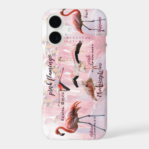 Pink Flamingo Typography Customized