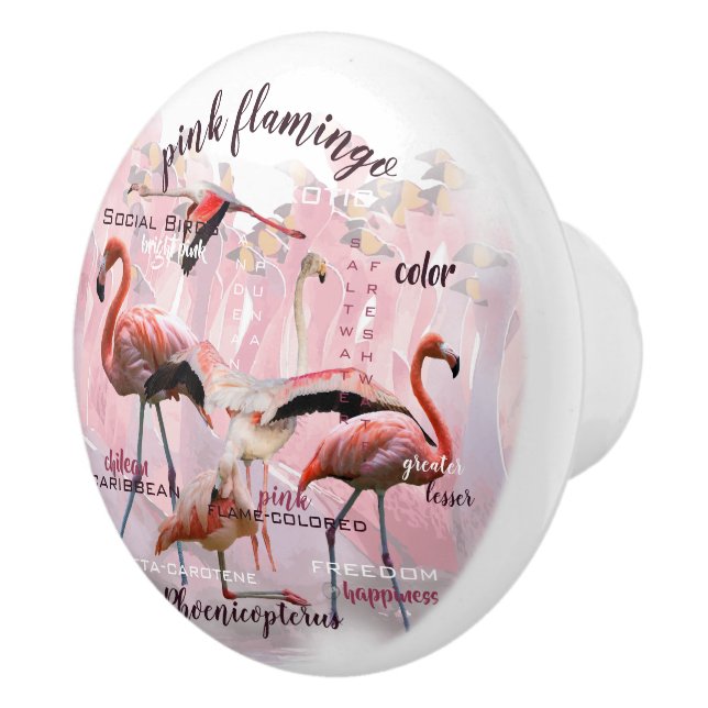 Pink Flamingo Typography | Customized Ceramic Knob (Right)