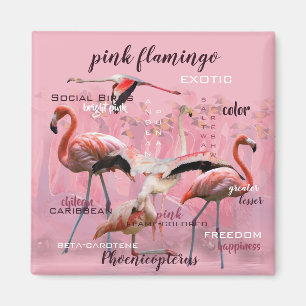 Pink Flamingo Typography   Customized Magnet