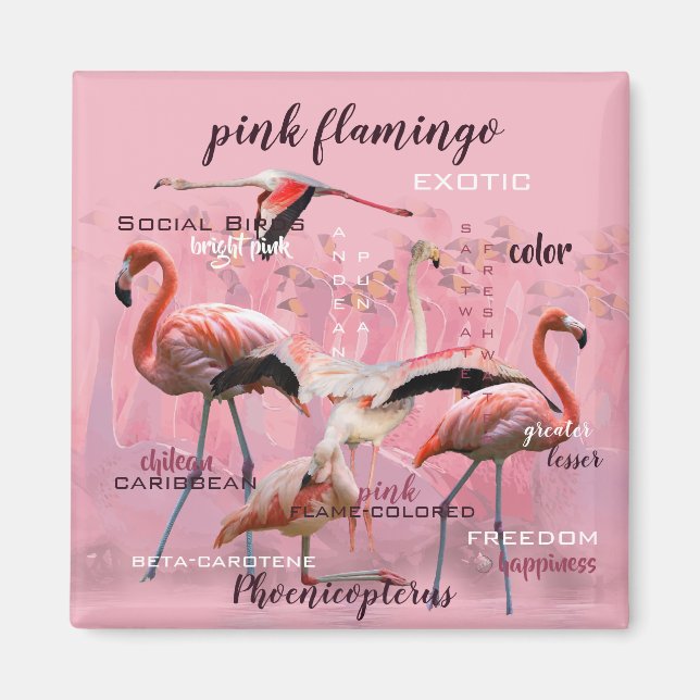Pink Flamingo Typography | Customized Magnet (Front)
